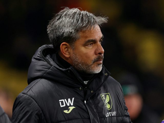 L'entrenador de Norwich City, David Wagner, reacciona el 28 de novembre de 2023