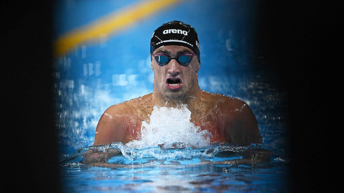 Campionats del món de natació: el 4x100 m combinat també a la final.  A continuació Miressi, Frigo, Razzetti