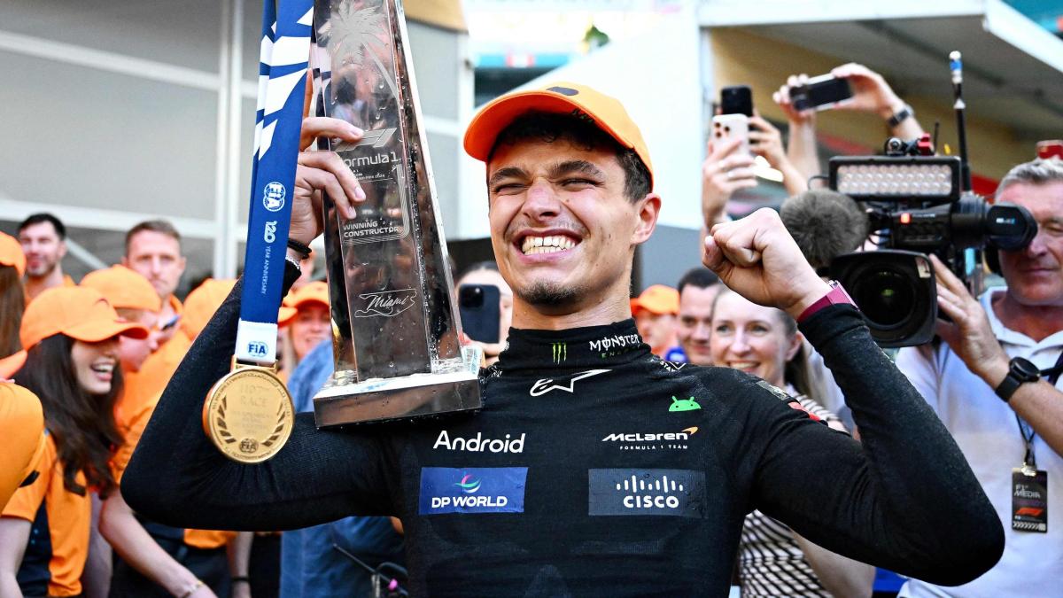 F1, retrat de Lando Norris